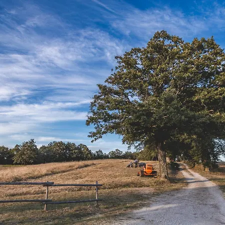 Masseria Del Bosco Poderuccio